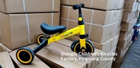 Tricycle 3 en 1 pour enfants, vélo d'équilibre, poussette bébé, siège réglable, utilisation intérieure et extérieure