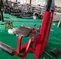 Équipement de fitness professionnel : Banc de musculation à charges guidées pour la poitrine et les bras, et Machine commerciale d'extension et de curl des jambes