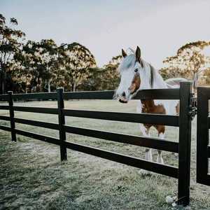 Paneles de valla de caballo de servicio pesado Valla de Rancho de <span class=keywords><strong>metal</strong></span> de granja al aire libre - Product Image 5