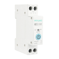 Kwh Disjoncteur de surveillance de mesure 1P + N 63A WIFI Smart Switch Tuya Smartlife Timer Relay MCB Energy Meter Smart Switch Home