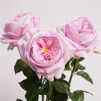 Roses artificielles réalistes au toucher humide, roses anglaises de style David Austin, pour la décoration de table de mariage et de la maison