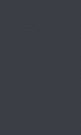 Black RAL9005