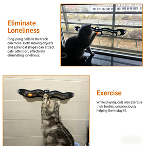 Modern interactief wave track <span class=keywords><strong>ball</strong></span> speeltje voor katten, huisdier vriendelijk, grappig, met zuignap voor raam, glas, plastic, zuignapdoosje. - Product Image 3