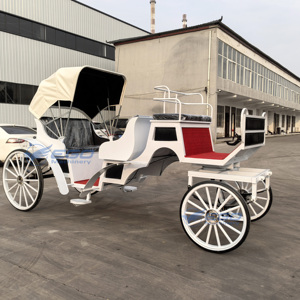 Carrozas Europeas Turísticas con Caballos, Transporte Especial para Visitas Turísticas - Product Image 3