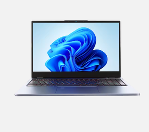 16.1 Inch Gaming Laptop Intel I9 10885H SSD IPS 1920x1080 65Hz Windows 11 UK Plug Gamer Notebook - Product Image 3