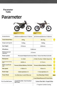 Motocicleta de Alto Rendimiento UltraBee para Adultos, Motor sin Escobillas de Litio de 72V 21KW, Alta Potencia, 95km/h, Versión de Alto Rendimiento - Product Image 2