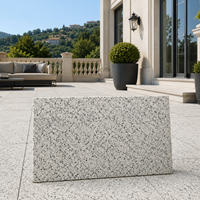 Livraison Gratuite Dalle de Granit Blanc Sésame Poli, Granit Blanc Sésame Unique pour Plans de Travail
