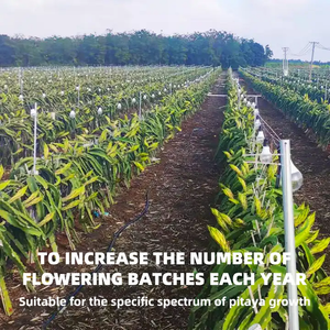 Lámpara LED <span class=keywords><strong>de</strong></span> Espectro Completo <span class=keywords><strong>de</strong></span> 15w para el Crecimiento <span class=keywords><strong>de</strong></span> Plantas, Bombilla para Invernadero <span class=keywords><strong>de</strong></span> <span class=keywords><strong>Pitahaya</strong></span>, Luz Suplementaria para Frutas <span class=keywords><strong>de</strong></span> Dragón Fuera <span class=keywords><strong>de</strong></span> Temporada - Product Image 6