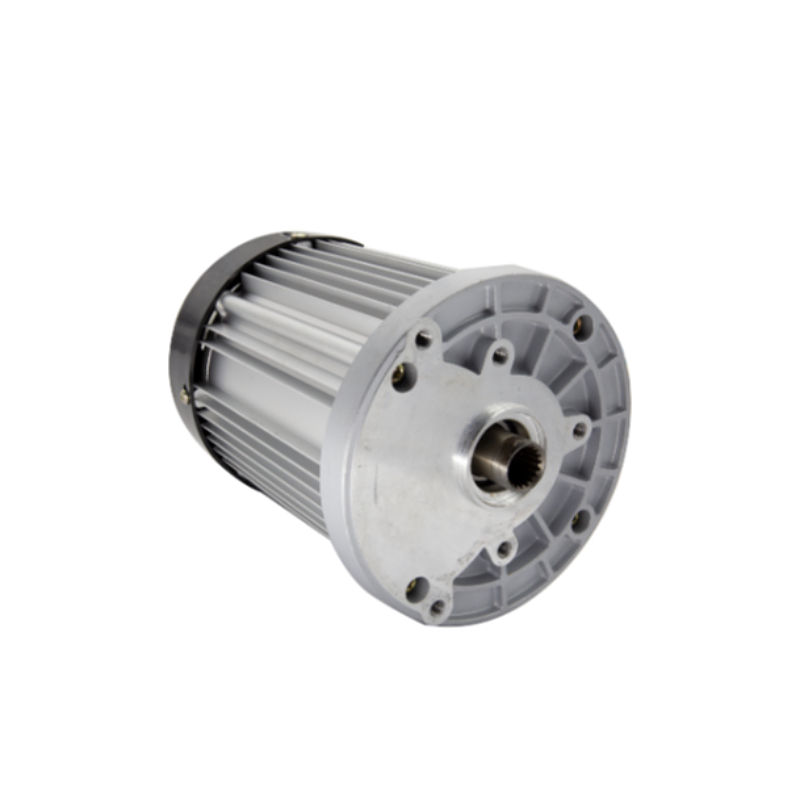 1000W 48V Brushless DC Electric Motor with Worm Gearbox
