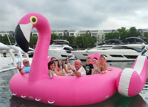 Meilleur prix pour l'île gonflable Flamingo, bateau flottant remorquable, location d'île, Flamingo gonflable, installations de divertissement - Product Image 2