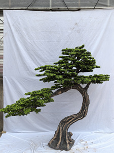 For Commercial Landscape & Christmas Decor | Custom 2-6M Artificial <b>Pine</b> Bonsai Tree Retardant for Hotel/Mall/Garden - Product Image 3