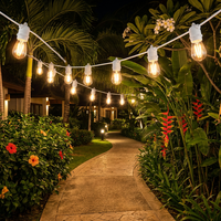 10 ampoules Heavy Duty Drop Festoon String Lights câble de rallonge d'alimentation avec longueur personnalisée intérieur ou extérieur utilisé