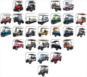 Voiturettes de golf électriques de haute qualité à 2 places pour sites touristiques, vente directe usine, prix abordable - Product Image 6