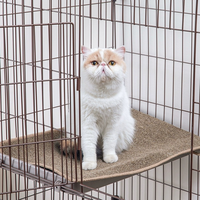 Nouveauté : Griffoir pour chat en bois durable, doux, écologique, sans débris, protection de canapé, jouet pour chats, produits pour animaux de compagnie