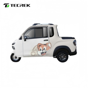 รถสามล้อบรรทุกแบบปิด TECREK พร้อมความสามารถในการบรรทุกสัมภาระ - Product Image 1