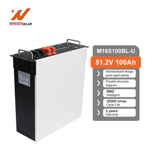 بطاريات lifepo4 5kw 5kw 10 V 48V 300Ah 200Ah محول BMS تخزين الطاقة الشمسية أيون الليثيوم - Product Image 1