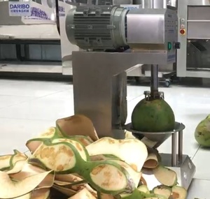 Machine à écraser la noix de coco en vente chaude 2025, machine à peler la noix de coco automatique - Product Image 4