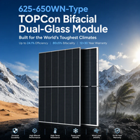 Panneau solaire bifacial HJT de type N 625W 650W, module PV monocristallin à demi-cellules certifié CE TUV pour système d'énergie solaire commercial