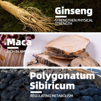 Thé aux herbes pour la fertilité masculine, naturel, végétalien, sans OGM, complément de maca et de ginseng, soutient la santé reproductive masculine, booste l'énergie et l'endurance