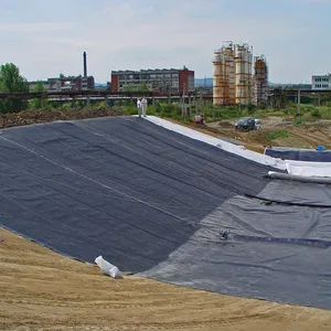 60 Mil Hdpe Geomembrane Liner Philippines Price For Swimming Pool