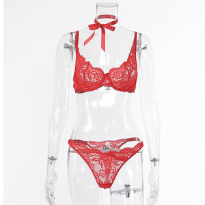 SADI 2022 Bragas de Encaje Transparentes Rojas para Mujer, Ropa Interior Sexy con Bordado, Lencería Sexy para Mujer - Product Image 6