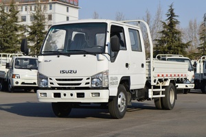 Per Camioncino Diesel 4x2 a Doppia Cabina con Cassone e Sponde per Logistica a Breve Distanza - Product Image 3