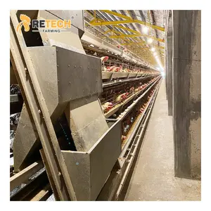 Automatic A Type Poultry Farm Egg Laying Layer Broiler Chicken Cage For Sale