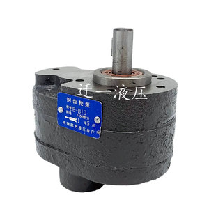 Bomba de Engranajes Hidráulica Serie CB B, CBW 10 B10 24 5 M, Venta Directa de Fábrica - Product Image 1