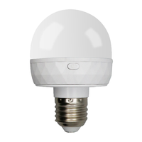 Ampoule LED intelligente rechargeable RUEA RD-01 avec télécommande, température de couleur réglable, intensité variable, culot PC E27, mobile, pour situations d'urgence