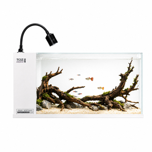 Aquário de Vidro Nano com Filtro Integrado Seco-Úmido e Luz LED Ajustável de 3 Cores para Mesa - Atacado de Fábrica, OEM/ODM - Product Image 6