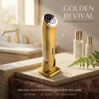 Masseur facial OEM à marque privée, aspect doré, soin personnel de la peau, appareil de beauté multifonctionnel pour les yeux et le visage, utilisation à domicile