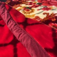 Fabrik-Großproduktion Maßgefertigte Winter-Dicke Doppelschichtige Polyester-Decke mit Geprägtem Rosenmuster Raschel-Decke