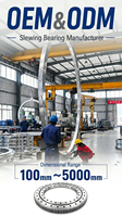 Roulement à Billes à Anneau Tournant Personnalisé, Conception à Module Spécial, Couche Anti-corrosion, Fournisseur ODM 010.50.3550