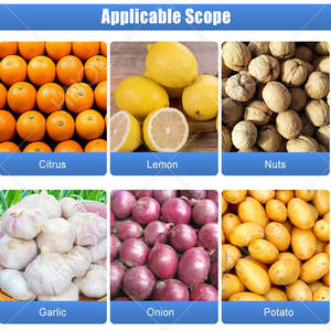 เครื่องคัดขนาดและล้างผักผลไม้ เช่น <span class=keywords><strong>มะเขือเทศ</strong></span><span class=keywords><strong>เชอ</strong></span><span class=keywords><strong>ร์</strong></span><span class=keywords><strong>รี่</strong></span> ส้ม ผลไม้ขนาดต่างๆ มะเดื่อ ราคา - Product Image 6