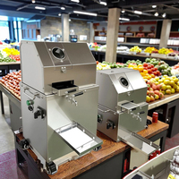 Extracteur de jus de canne à sucre et de gingembre efficace avec moteur central 220V, haute productivité, utilisation en usine de transformation des fruits
