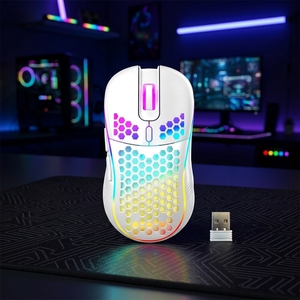 Hollow Honeycomb Design Charging Mouse RGB Lighting Gaming Mouse Lightweight TYPE-C Interface Wireless Gaming Mouse