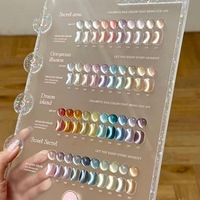 ROUNI 40 Couleurs Nouvelle Tendance Collection de Vernis Gel Magnétique Effet Œil de Chat Verre Clair Lune Cristal Kit de Vernis Gel Effet Œil de Chat pour la Vente en Gros