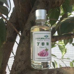 Huile <span class=keywords><strong>de</strong></span> clou <span class=keywords><strong>de</strong></span> girofle biologique en gros, 1 litre, huile <span class=keywords><strong>de</strong></span> <span class=keywords><strong>bourgeon</strong></span> <span class=keywords><strong>de</strong></span> clou <span class=keywords><strong>de</strong></span> girofle, huile <span class=keywords><strong>de</strong></span> feuille <span class=keywords><strong>de</strong></span> clou <span class=keywords><strong>de</strong></span> girofle pour les soins bucco-dentaires, spray buccal, dentaire - Product Image 4