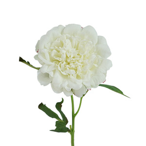 Fleurs artificielles réalistes, pivoine à grande tête, toucher réel, décoration d'intérieur, table à manger européenne, fleurs rouges, fleurs artificielles en gros - Product Image 1