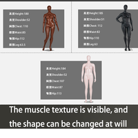 Mannequin Homme Grande Taille en Fibre de Verre pour l'Europe et l'Amérique, Modèle Corporel Complet pour Présentation de Vêtements et de Mode