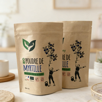 Sachet d'emballage alimentaire en plastique imprimé sur mesure, sachet alimentaire en plastique refermable pour fruits secs