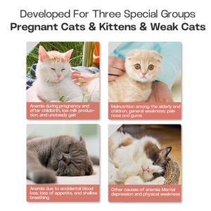 Pet demir macun sağlık takviyesi kan hücresi oluşumu için C vitamini Folate oksijen kaynağı anemi tedavisini destekler - Product Image 2