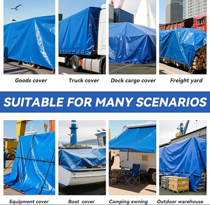 Bâche en PE flexible toutes saisons, pliable, résistante au gel, isolante thermique, double face, couleur personnalisable, bâche en polyéthylène - Product Image 6