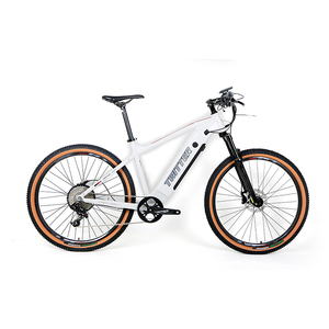 Bicicleta Eléctrica al por Mayor, 350W-500W, Batería Oculta, Precio de Bicicleta de Montaña 29er - Product Image 1
