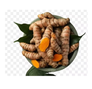 Raíces de Cúrcuma Naturales, Especia Aromática para la Elaboración de Alimentos, Uso Culinario, Comercio al por Mayor y Exportación - Product Image 5