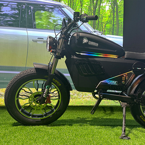 Nouveau guerrier noir accessoires de vélo électrique moteur batterie protection coque dure vélo batterie protecteur - Product Image 5