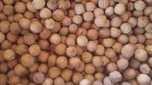 Citron jaune séché de haute qualité de style populaire Offre Spéciale sous notre supervision traité cru directement de nos fermes en Égypte - Product Image 3