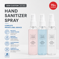 Spray désinfectant pour les mains à 75 % d'alcool, écologique, OEM, vente en gros, programmes de vente au détail, projets d'approvisionnement pour entreprises, prix d'usine