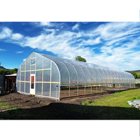 Serre agricole tunnel pour la culture de la tomate, la serre agricole polytunnel la plus économique, populaire et la moins chère à vendre