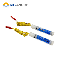 Electrodos de Referencia de Cobre Cu/Cuso4 de Alta Calidad con Conector Cerámico Resistente